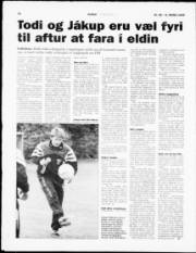 Síða 20