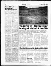 Síða 22