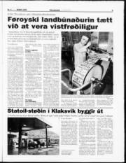 Síða 9