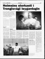 Síða 17