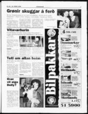 Síða 7