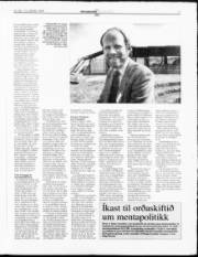 Síða 17