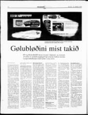 Síða 18