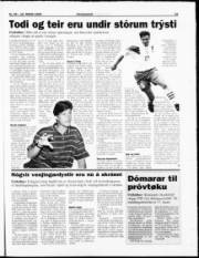 Síða 23