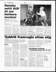 Síða 17