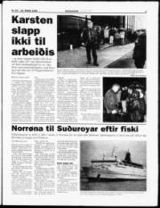 Síða 3