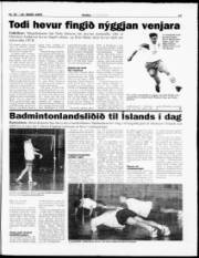 Síða 17
