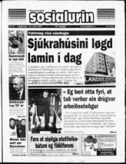 Síða 1
