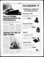 Síða 3