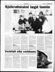Síða 6