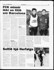 Síða 23