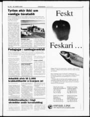 Síða 3