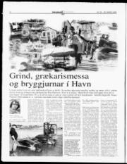 Síða 14