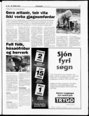 Síða 5