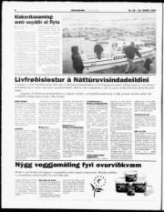 Síða 6