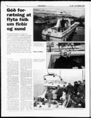 Síða 8
