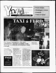 Síða 11