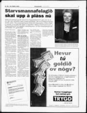 Síða 3