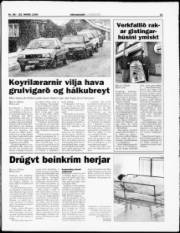 Síða 11