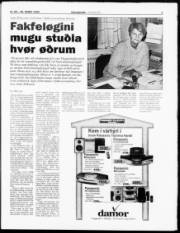 Síða 3