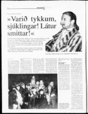Síða 14