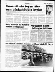 Síða 6