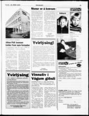 Síða 29