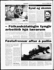 Síða 6