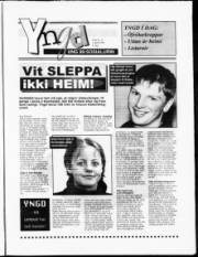 Síða 15