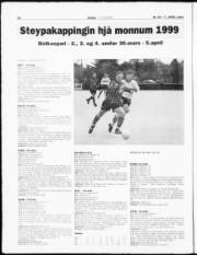 Síða 20