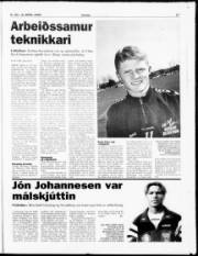 Síða 17