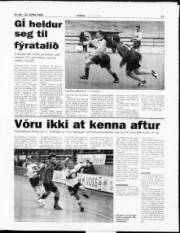 Síða 17