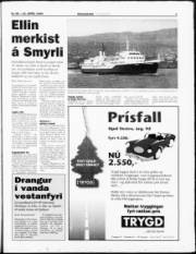 Síða 3