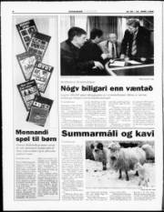 Síða 8