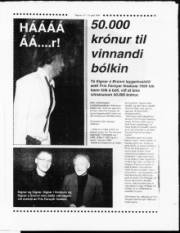 Síða 15