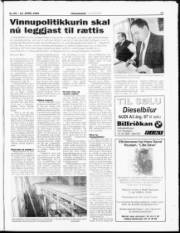 Síða 17