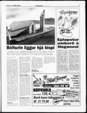 Síða 5