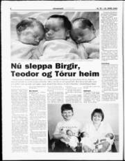 Síða 8
