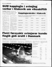 Síða 19