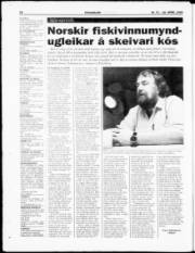Síða 28
