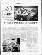 Síða 13