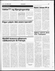 Síða 23