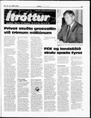 Síða 19