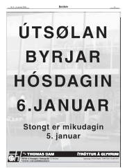 Síða 5