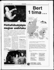 Síða 3