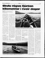 Síða 17