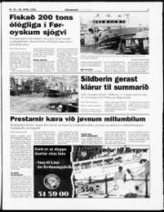 Síða 3