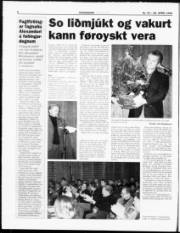 Síða 6