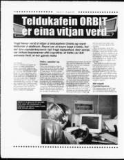 Síða 14