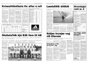 Síða 8
